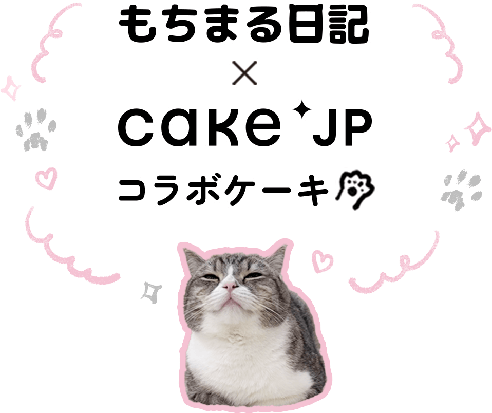 もちまる日記×Cake.jp コラボケーキ
